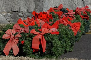 Wreaths lay waiting to be placed on gravesites of fallen U.S. Service members during the Wreaths Across America Day wreath-laying ceremony at the Hampton National Cemetery in Hampton, Va., Dec. 13, 2014. Program participants laid wreaths at more than 900 memorial cemeteries nationwide and overseas. (U.S. Air Force photo by Staff Sgt. Teresa J. Cleveland/Released)