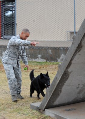 Staff Sgt. Andre Hernandez goes through different obstacles with his dog, Ivan, Nov. 14, 2014, at Dyess Air Force Base, Texas. Most of Hernandez and Ivan’s days are spent training on their course, working on commands and obedience, providing security and explosive and narcotic deterrence for the base. Hernandez is a 7th Security Forces Squadron K-9 military working dog handler. (U.S. Air Force photo/Senior Airman Shannon Hall)
