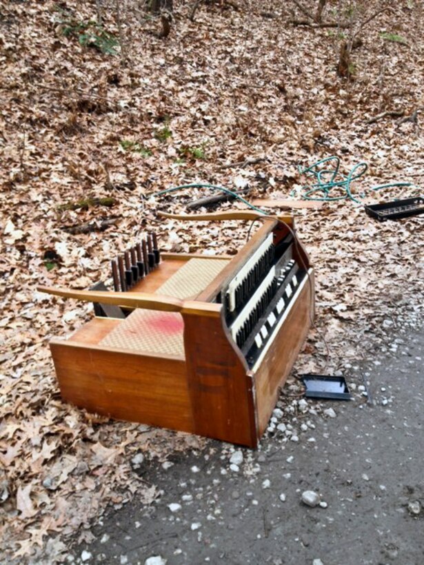 A ‘Dump and Run’ organ was found along a remote roadway.