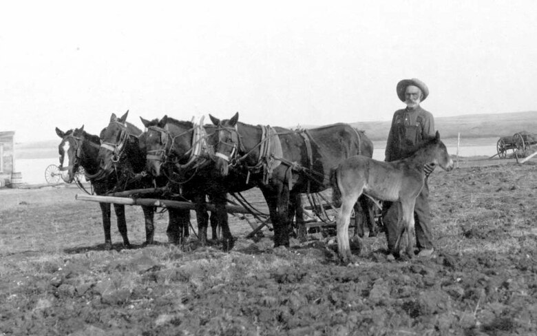 Christoper C. Beeks works on his farm north of Garrison, North Dakota in 1912. His father William was in the Union Army, Company K of the 6th Iowa Volunteer Calvary. After Christopher retired from farming, he sold his land and moved to Washburn, N.D. where he died in 1936. (Photos are property of the Beeks family and may not be reused without consent.) 
