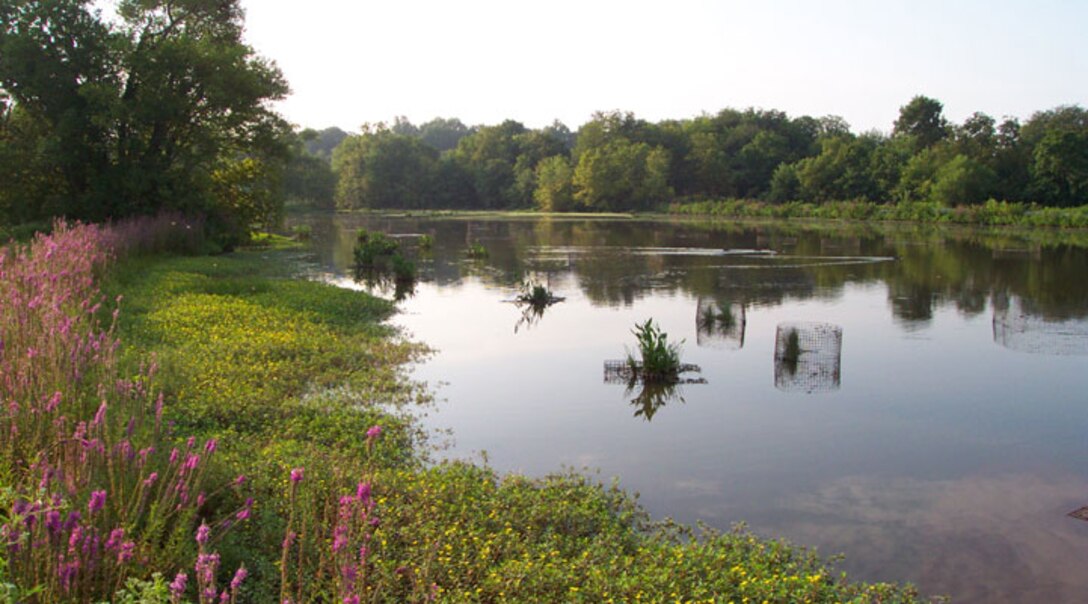 A post Ecosystem Restoration picture Drakes Creek located on Old Hickory Lake, Hendersonville, Tenn. 