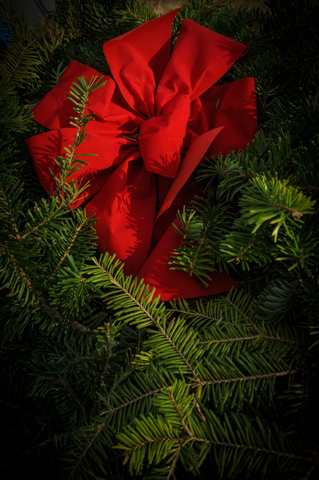 A ribbon is nestled among the needles of a live balsam wood wreath during a ceremony at Rosehill Memorial Park Cemetery in Minot, N.D., Dec. 13, 2014. The ceremony occurred at the same time as hundreds of others across the country to honor the service of veterans on national Wreaths Across America day. (U.S. Air Force photo/Senior Airman Stephanie Morris)