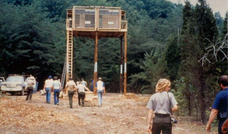 Seven-week-old American Bald Eagles arrive at Dale Hollow Lake July 26, 1989 to resettle them.  The U.S. Army Corps of Engineers Nashville District conducted an Eagle Restoration Program and released 44 eagles between 1987 and 1991 to restore nesting populations along waterways in Tennessee and Kentucky.