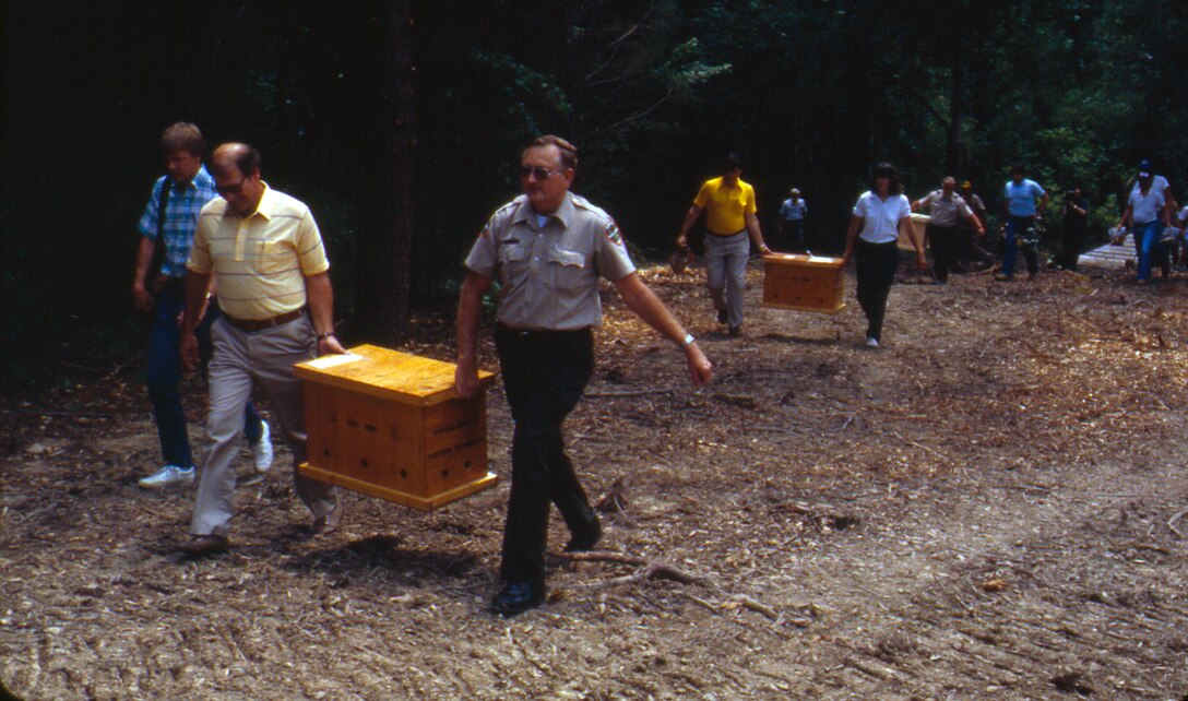 Seven-week-old American Bald Eagles arrive at Dale Hollow Lake July 26, 1989 to resettle them.  The U.S. Army Corps of Engineers Nashville District conducted an Eagle Restoration Program and released 44 eagles between 1987 and 1991 to restore nesting populations along waterways in Tennessee and Kentucky.