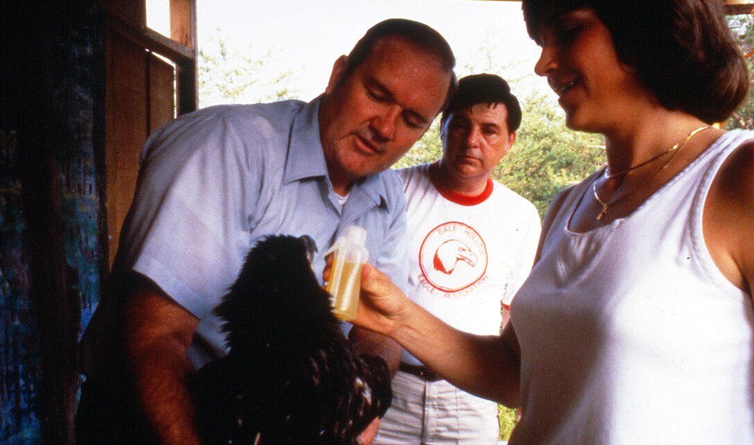 Patty Coffey, project manager for the U.S. Army Corps of Engineers Nashville District's Eagle Restoration Program; gives Gatorade to a young American Bald Eagle being held by Frank Massa, natural resource manager at Dale Hollow Lake, at a hacking tower on the shoreline of the lake Aug. 22, 1988. Biology Professor Ray Jordan from Tennessee Technological University helps with the care of the bird.  The U.S. Army Corps of Engineers Nashville District conducted an Eagle Restoration Program between 1987 and 1991 in the hopes that when they took flight for the first time they would return four to five years later when sexually mature to reproduce and nest all year long.