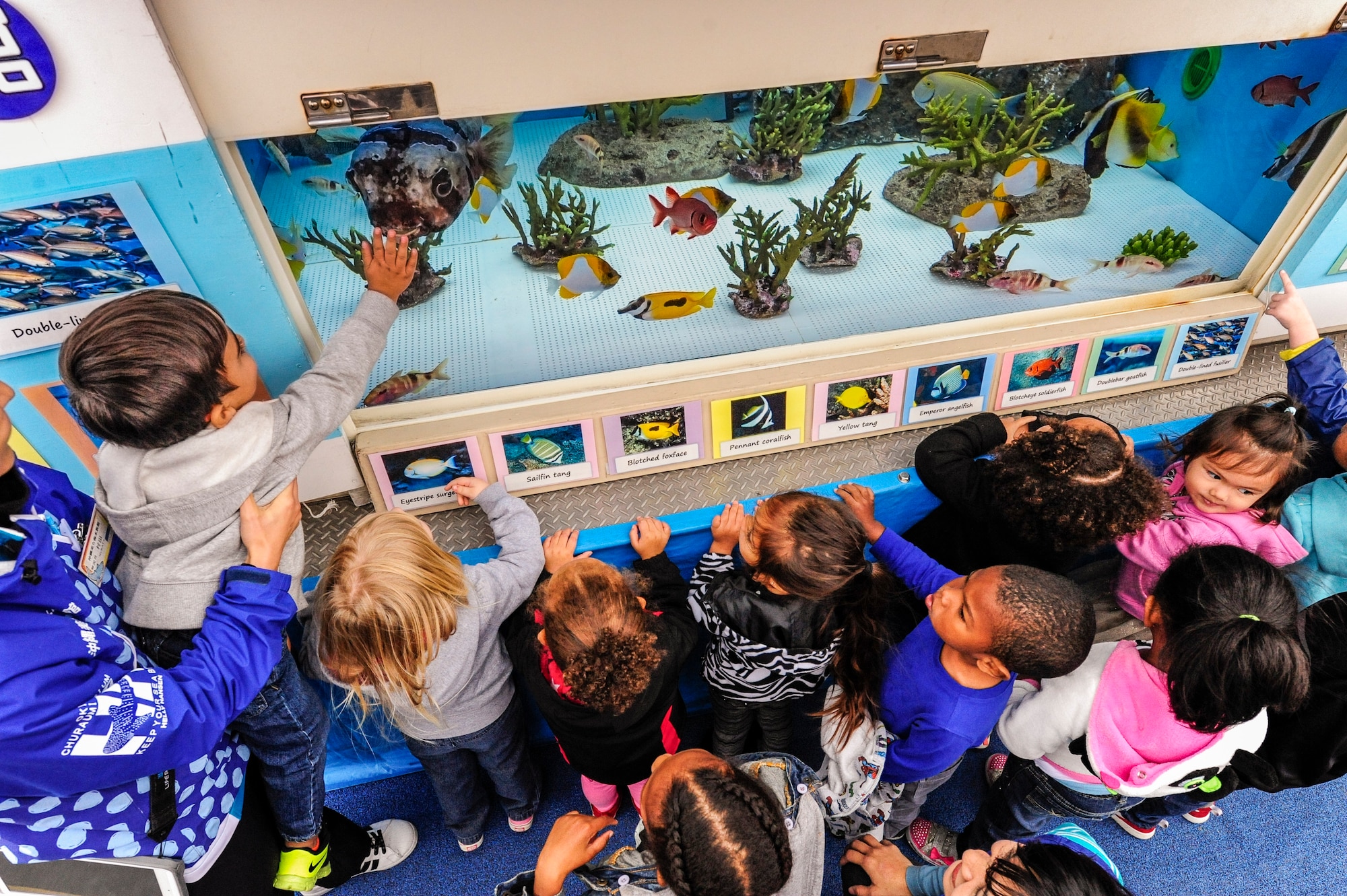 Children from the Child Development Center observe fish inside a traveling aquarium on Kadena Air Base, Japan, Dec. 22, 2014. The portable fish tank was provided by the Okinawa Churaumi Aquarium to educate youth about the marine life surrounding Okinawa. More than 250 youth experienced the displays. (U.S. Air Force photo by Airman 1st Class John Linzmeier)
