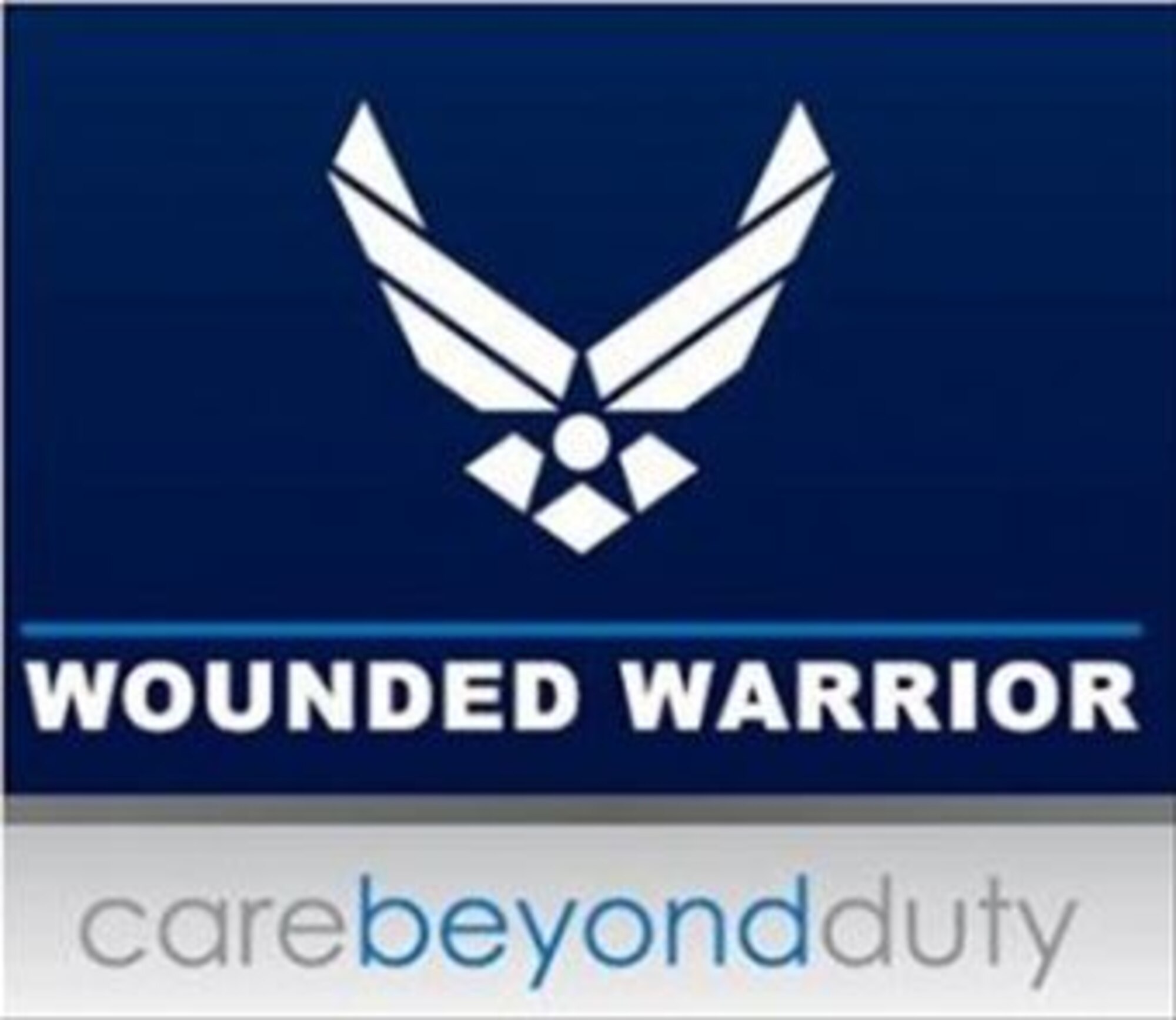 Air Force Wounded, Ill and Injured program assists those with cancer, terminal illness, traumatic brain injury and mental health illness, like PTSD, and is not just for wounded warriors. 