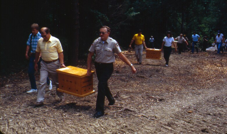 Seven-week-old American Bald Eagles arrive at Dale Hollow Lake July 26, 1989 to resettle them.  The U.S. Army Corps of Engineers Nashville District conducted an Eagle Restoration Program and released 44 eagles between 1987 and 1991 to restore nesting populations along waterways in Tennessee and Kentucky.