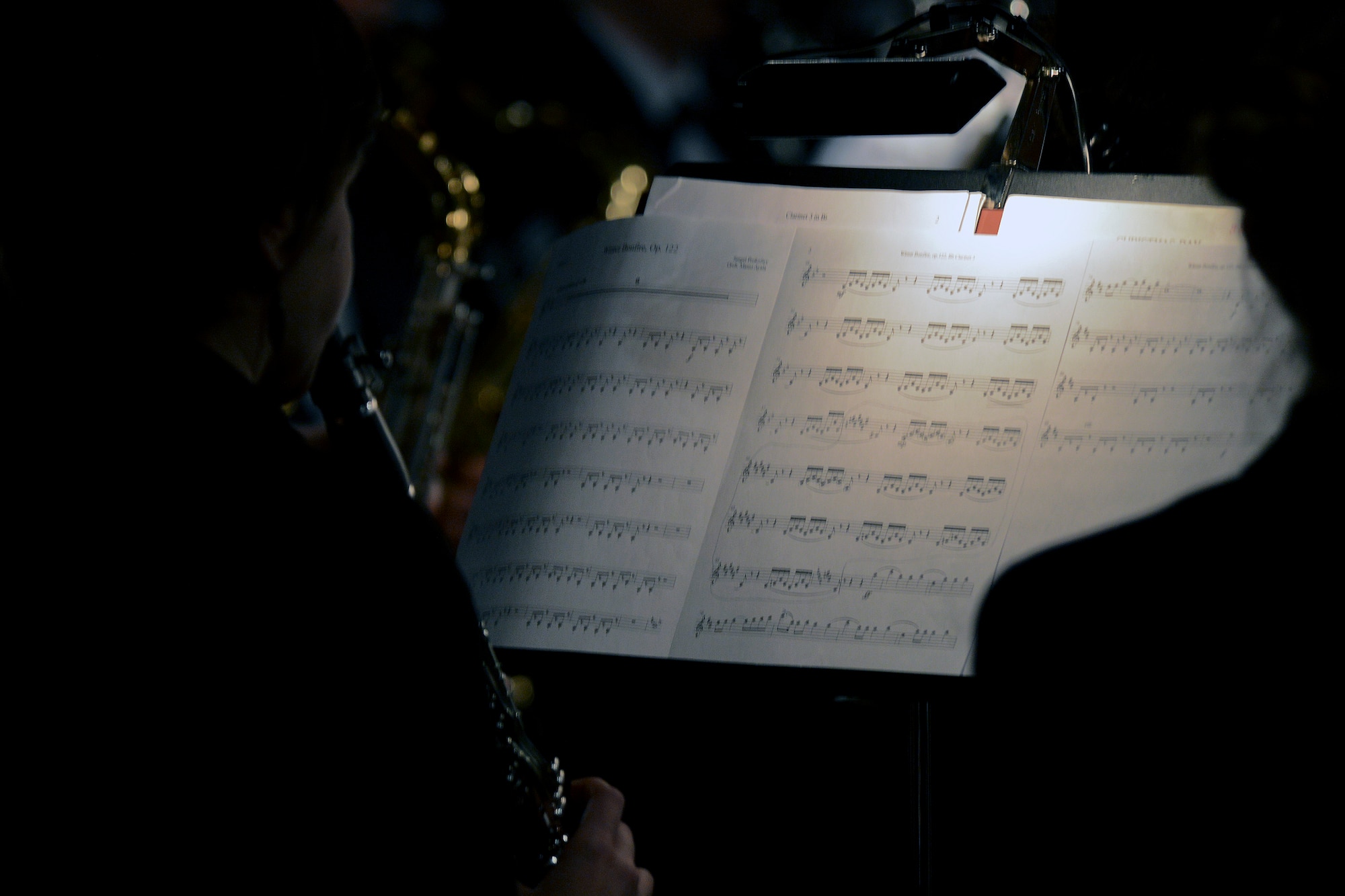 U.S. Air Forces in Europe band members read music during their holiday concert at the Bury Cathedral in Bury St. Edmunds, England, Dec. 20, 2014. The USAFE band performs more than 350 concerts throughout the year. (U.S. Air Force photo by Airman 1st Class Trevor T. McBride/Released)