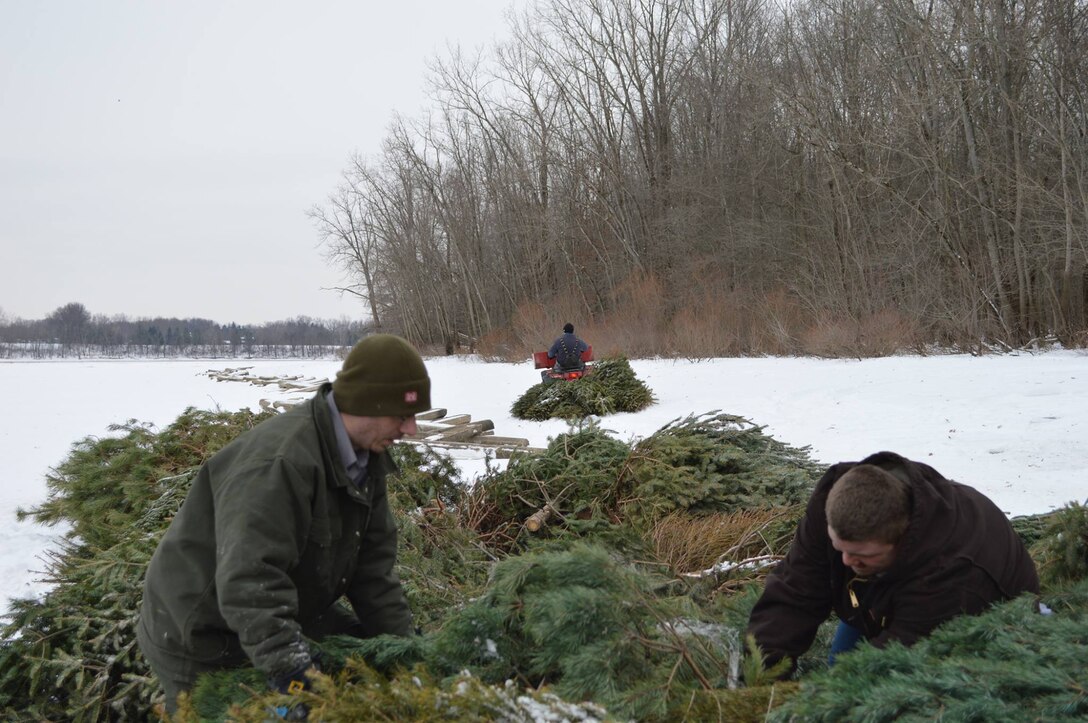 Don’t send your live-cut Christmas tree to the trash after the holidays. Donate it to the Christmas Tree Recycling Program sponsored by the U.S. Army Corps of Engineers at Youghiogheny River Lake.  In January 2014, Rangers Matthew Pook, Steve Rutkowski, and Student Matt Blake, partnered with Ohio Department of Natural Resources (ODNR) to place recycled Christmas trees on the lakeshore. The trees were recyled into fish habitats. 
