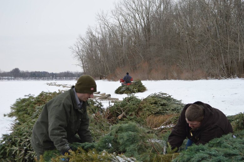 Don’t send your live-cut Christmas tree to the trash after the holidays. Donate it to the Christmas Tree Recycling Program sponsored by the U.S. Army Corps of Engineers at Youghiogheny River Lake.  In January 2014, Rangers Matthew Pook, Steve Rutkowski, and Student Matt Blake, partnered with Ohio Department of Natural Resources (ODNR) to place recycled Christmas trees on the lakeshore. The trees were recyled into fish habitats. 