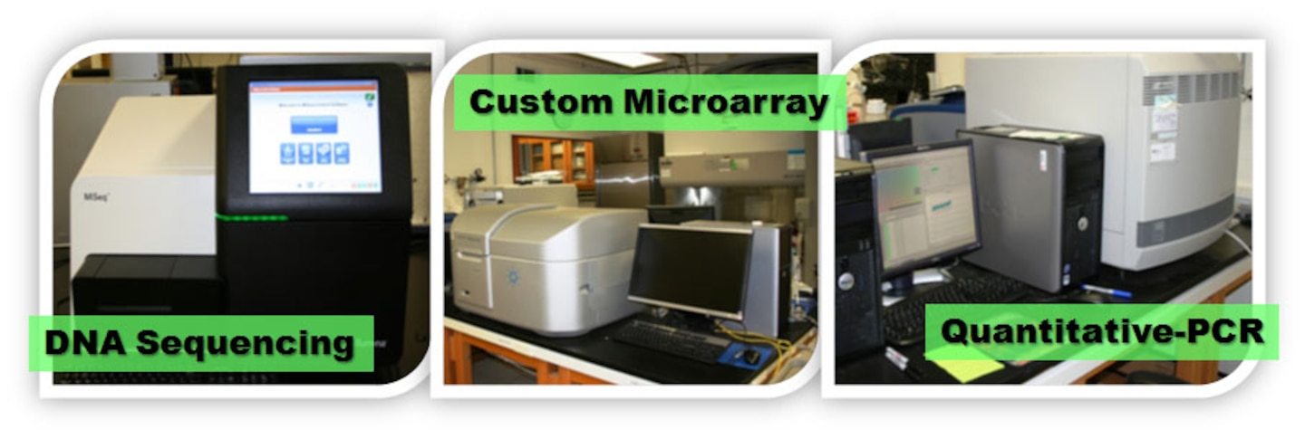 Providing innovative solutions by leveraging the power of genetics, gene expression and genome science.
