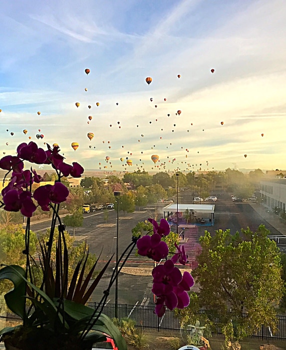 2014 District Photo Drive entry. Photo by Lisa Lopez, Oct. 7, 2014. “View of the 2014 Albuquerque International Balloon Fiesta from the photographer’s cubicle on the third floor of the District Office in Albuquerque, N.M.” 