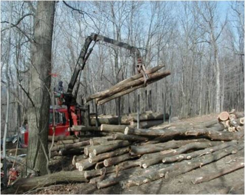 Logging operations as part of the forest management program