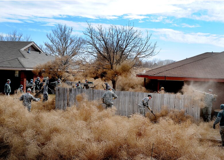 Airmen combat tumbleweed invasion > Cannon Air Force Base > Article Display