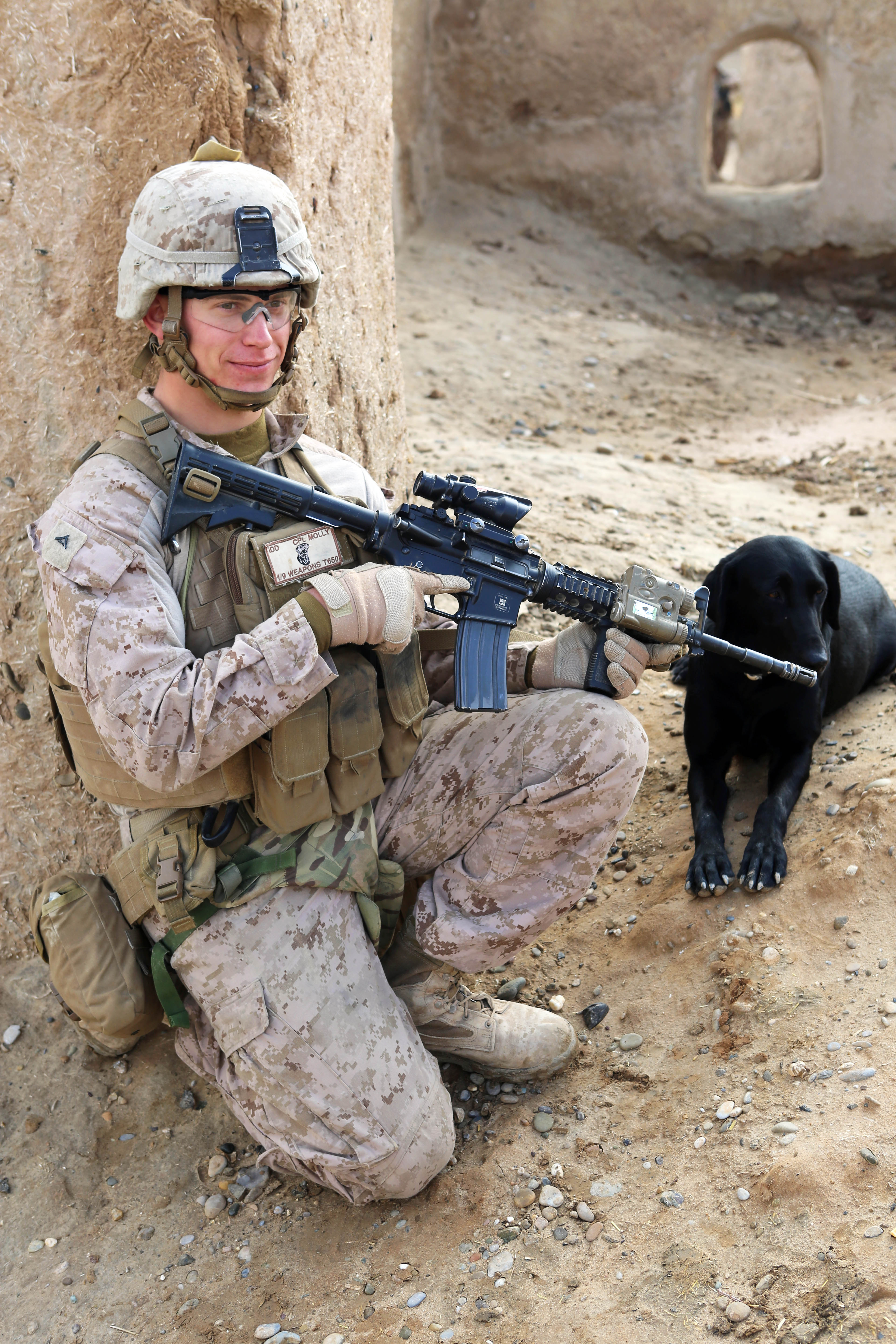 DVIDS - Images - Battlefield Circulation, FOB Nolay and Camp Dwyer [Image 3  of 12], image size:3840x5760