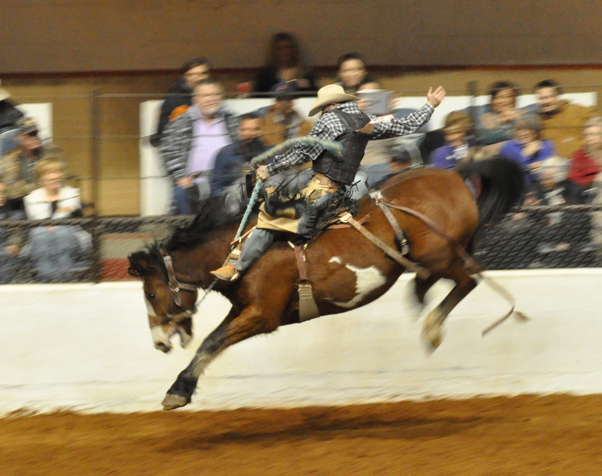 It was an exciting day at Fort Worth Stock Show and Rodeo's Military Appreciation Day. Member of the 301st Fighter Wing rode in the rodeo's grand entry prior to enjoying the sights and sounds of this historic annual event. (U.S. Air Force photo/Master Sgt. Julie Briden-Garcia)