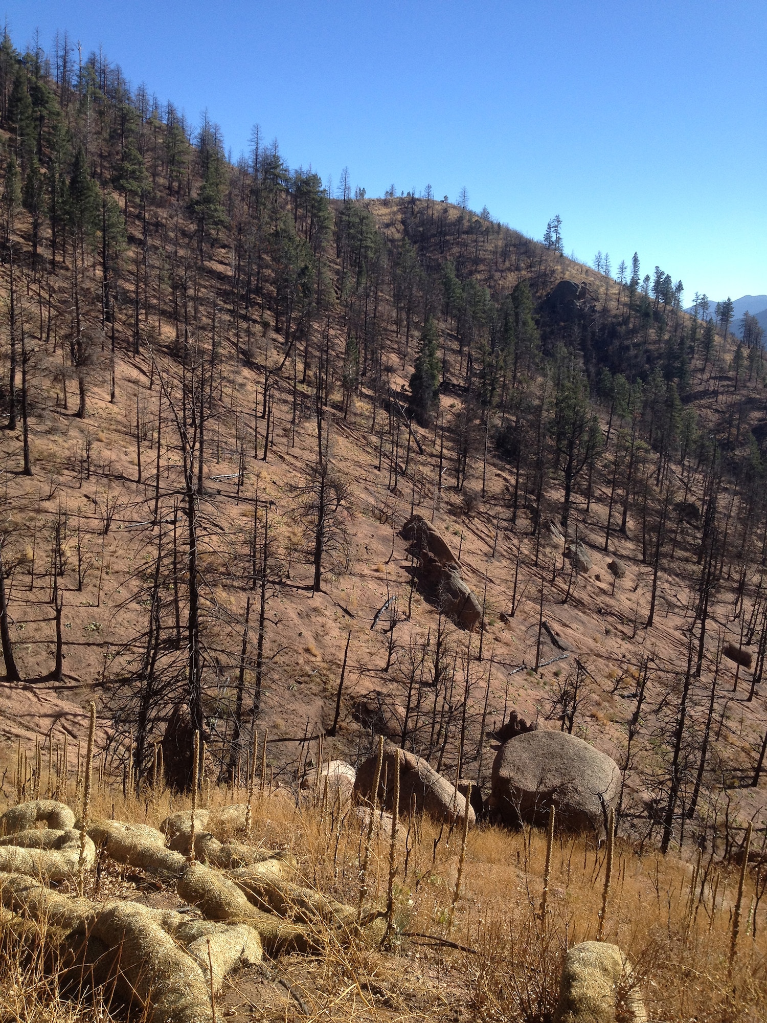 The Waldo Canyon burn scar area where mitigation efforts by the Coalition of Upper South Platte took place in 2012 and 2013. Wattles, used to slow down the water flow are seen in the foreground. (Courtesy photo)