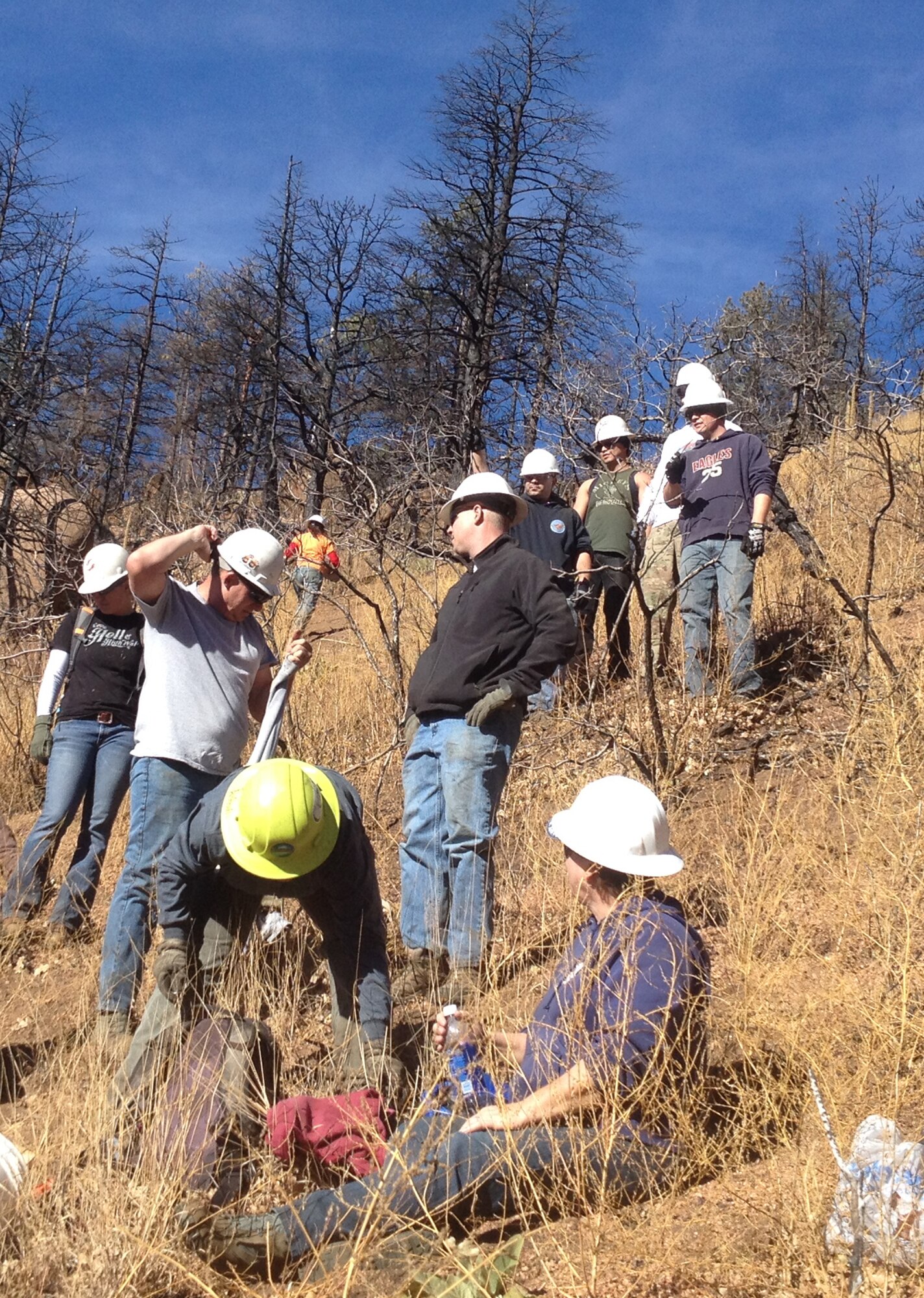 More than a dozen volunteers from the Air Force Reserve Command’s 302nd Airlift Wing joined forces with the Coalition of Upper South Platte to assist with flood mitigation efforts at the Waldo Canyon Burn scar last year. The Airmen carried supplies, set wattles and planted oat seeds to help prevent flood damage in the area. (Courtesy photo)