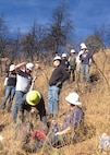 More than a dozen volunteers from the Air Force Reserve Command’s 302nd Airlift Wing joined forces with the Coalition of Upper South Platte to assist with flood mitigation efforts at the Waldo Canyon Burn scar last year. The Airmen carried supplies, set wattles and planted oat seeds to help prevent flood damage in the area. (Courtesy photo)