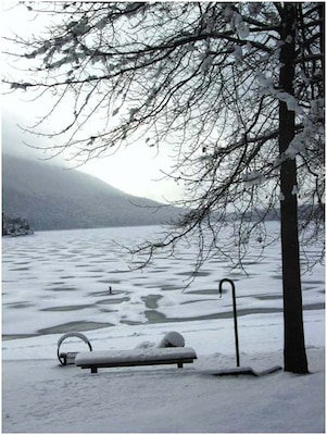 A frozen lake view from Point Camp, located in Seven Points Recreation Area.