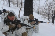Marines with Ragnarok Company, 2nd Supply Battalion, 2nd Marine Logistics Group scan the area during a security patrol as part of a field exercise aboard Marine Corps Mountain Warfare Training Center, Bridgeport, Calif., Feb. 2, 2014. Service members on patrol hiked through knee-deep snow in search of intelligence and signs of enemy movement to support 2nd Marine Battalion, 2nd Marine Regiment, 2nd Marine Division. 