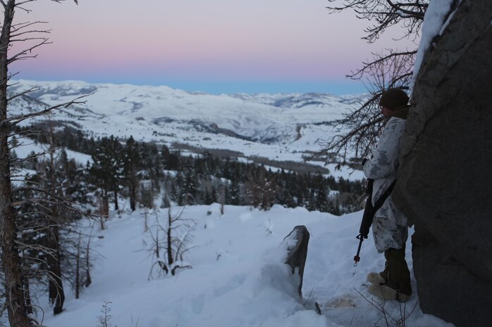 Cpl. Eric J. Crouser, a food service specialist with Ragnarok Company, 2nd Supply Battalion, 2nd Marine Logistics Group, watches over the area of operations on a 24-hour guard post during a field exercise aboard Marine Corps Mountain Warfare Training Center, Bridgeport, Calif., Feb. 3, 2014. Service members holding perimeter security worked on shifts to ensure they were as fresh as possible to maintain the safety of the company in the harsh elements. 