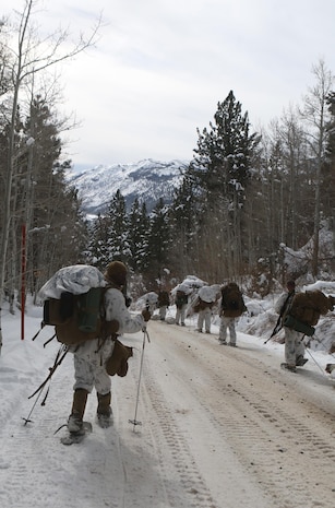 Marines and sailors with Ragnarok Company, 2nd Supply Battalion, 2nd Marine Logistics Group hike back to base camp at the end of a field exercise aboard Marine Corps Mountain Warfare Training Center, Bridgeport, Calif., Feb. 4, 2014. The hike from the forward operating post to base camp allowed the service members to continue physical training during the final stages of the exercise.