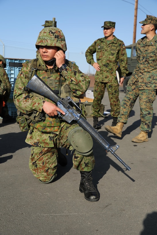 U.S. Marines from 1st Air Naval Gunfire Liaison Company and soldiers with the Japan Ground Self-Defense Force conduct call-for-fire exercises during Exercise Iron Fist 2014 aboard Camp Pendleton, Calif., Feb. 5, 2014. Iron Fist 2014 is an amphibious exercise that brings together Marines and sailors from the 15th Marine Expeditionary Unit, other I Marine Expeditionary Force units, and soldiers from the JGSDF, to promote military interoperability and hone individual and small-unit skills through challenging, complex and realistic training. (U.S. Marine Corps photo by Lance Cpl. Anna K. Albrecht/Released)