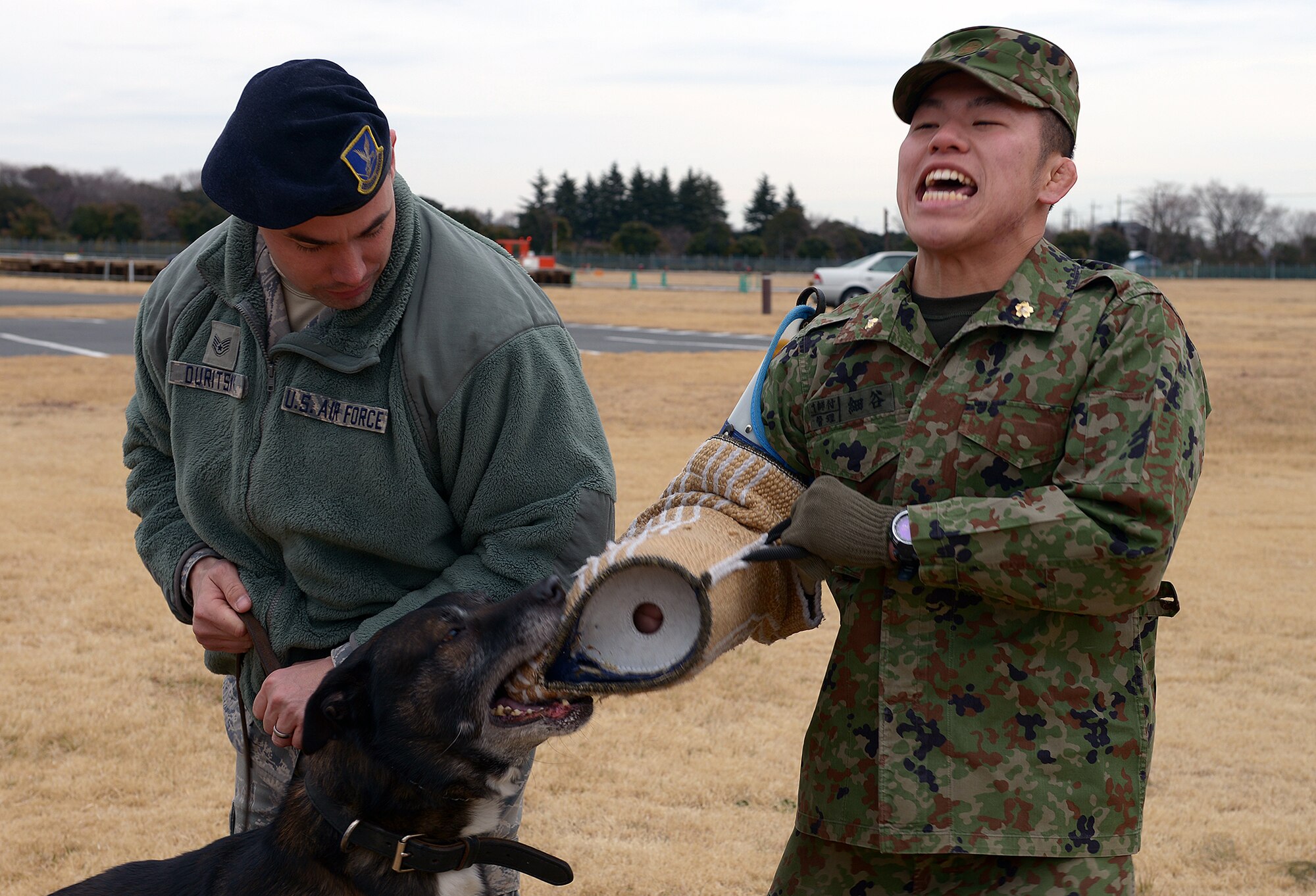 Staff Sgt. David Duritsky, 374th Security Forces Squadron kennel master, and Pvt. Takeru Hosoya, 1st Division Headquarters unit Japan Ground Self-Defense Force, display military working dog capabilities at Yokota Air Base, Japan, Feb. 6, 2014. Military working dogs are trained to both attack and stand-down at their handler’s command. (U.S. Air Force photo by Airman 1st Class David Danford/Released)