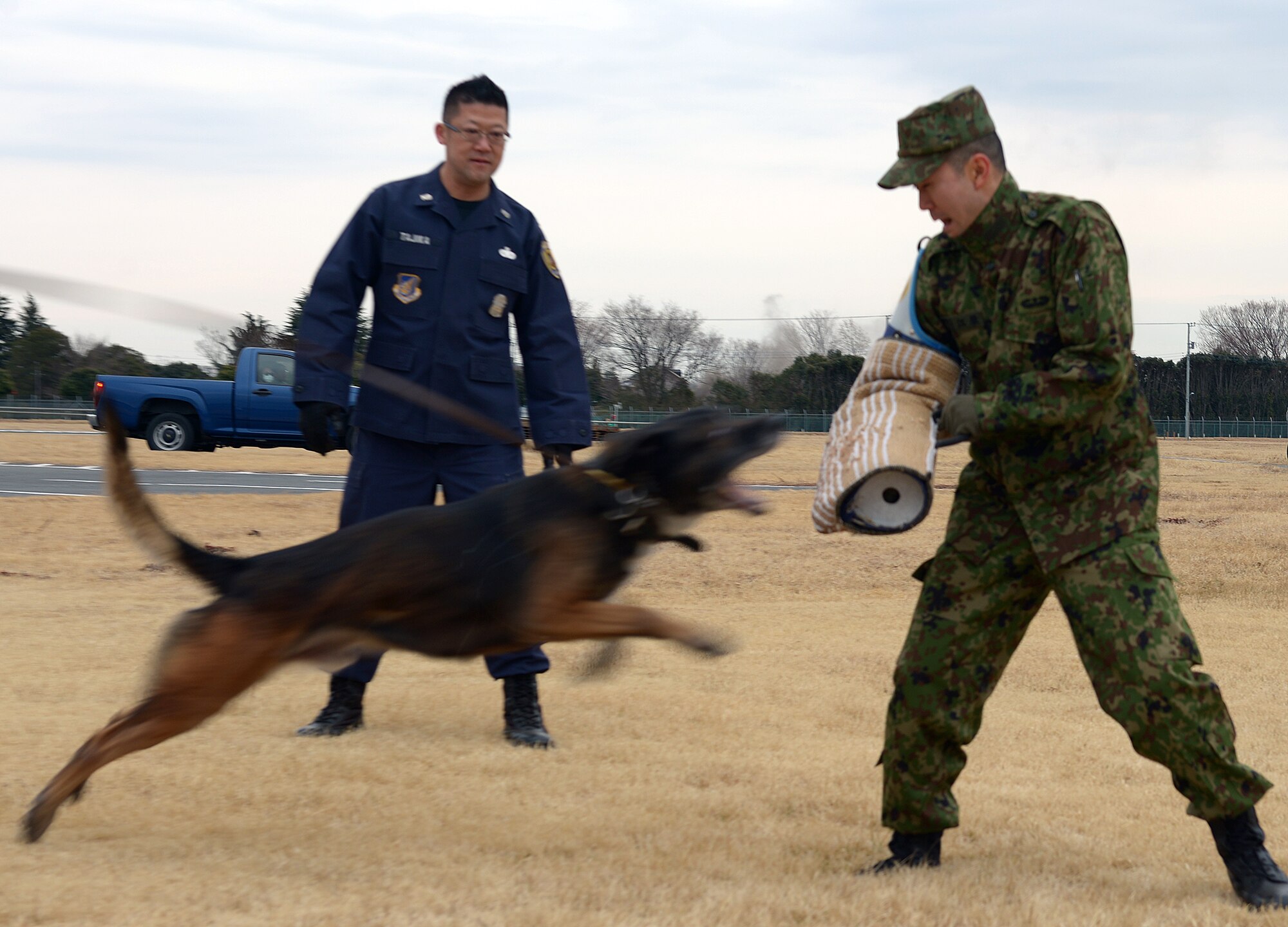 Sgt. Hironobu Ehara, 1st Division Headquarters Unit Japan Ground Self-Defense Force, takes part in a military working dog display at Yokota Air Base, Japan, Feb. 6, 2014. The JGSDF is the main branch of the Japan Self-Defense Forces responsible for land-based military operations. (U.S. Air Force photo by Airman 1st Class David Danford/Released)