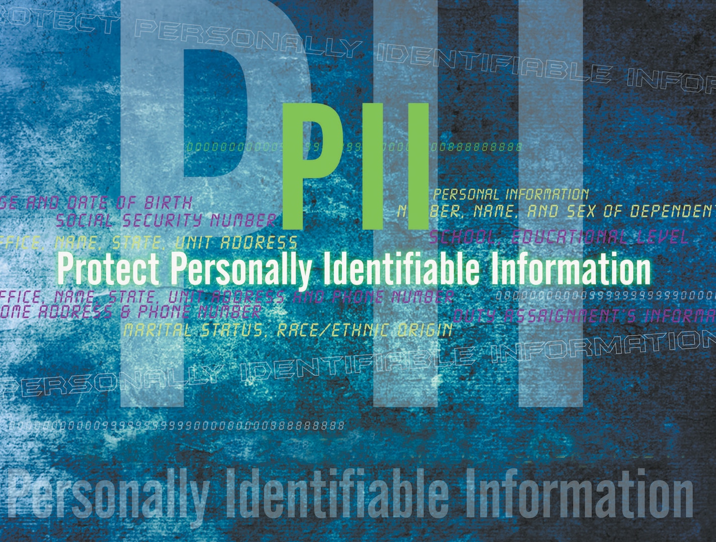 PII is unique information about an individual not releasable to the public without the written consent of the individual. Examples includes Social Security numbers, dates of birth, marital status, race or financial information. (Air Force Graphic by Naoko Shimoji)