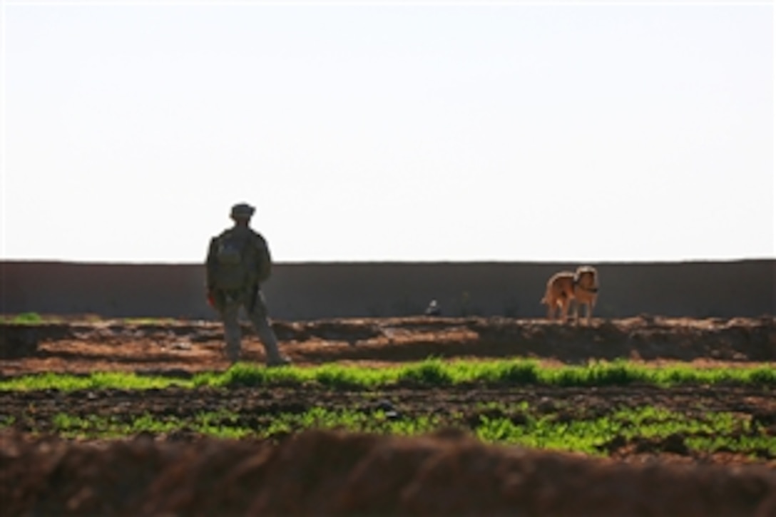 A U.S. Marine and his military working dog patrol near Patrol Base Boldak in Helmand province, Afghanistan, Jan. 30, 2014.