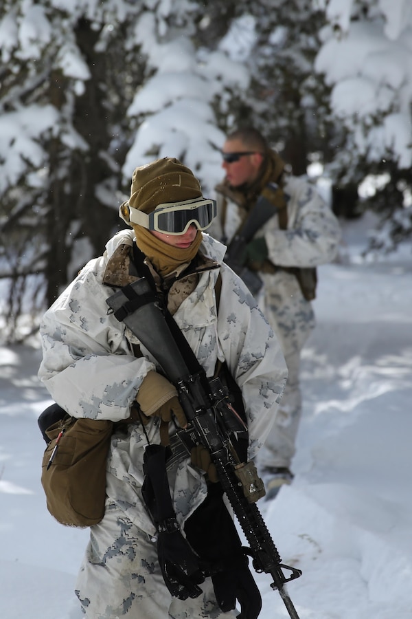Private first class Michael Humer (front) and Lance Cpl. Ryan Albanese, keep a sharp eye out for the enemy during a patrol during the final six-day field exercise for Mountain Exercise winter training package at MCMWTC Bridgeport, Calif., Feb. 3, 2014. Humer is an Assaultman and Miami native and Albanese is a fire team leader and Barnegat, N.J., native, both Marines serve with Easy Company, 2nd Battalion, 2nd Marine Regiment, 2nd Marine Division. The Warlords and its attached units underwent the winter training package at MCMWTC to prepare for the upcoming a multi-lateral joint and combined exercise Cold Response, which will take place in March of 2014 in Norway.