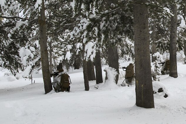 Marines with Easy Company, 2nd Battalion, 2nd Marine Regiment, 2nd Marine Division lay down a base of fire for other Marines to maneuver during an assault on an enemy position during the final six-day field exercise for Mountain Exercise winter training package at MCMWTC Bridgeport, Calif., Feb. 4, 2014. The Warlords and its attached units underwent the winter training package at MCMWTC to prepare for the upcoming a multi-lateral joint and combined exercise Cold Response, which will take place in March of 2014 in Norway.