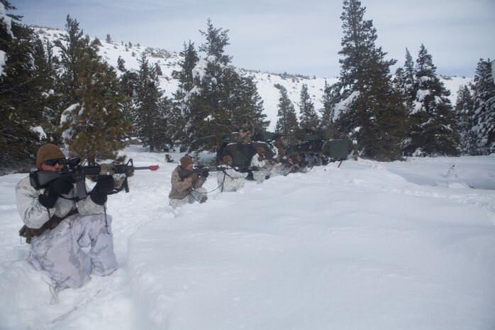 Marines with Golf Company, 2nd Battalion, 2nd Marine Regiment, 2nd Marine Division lay down a base of fire for other Marines to maneuver during an assault on an enemy position during the final six-day field exercise for Mountain Exercise winter training package at MCMWTC Bridgeport, Calif., Feb. 4, 2014. The Warlords and its attached units underwent the winter training package at MCMWTC to prepare for the upcoming a multi-lateral joint and combined exercise Cold Response, which will take place in March of 2014 in Norway.