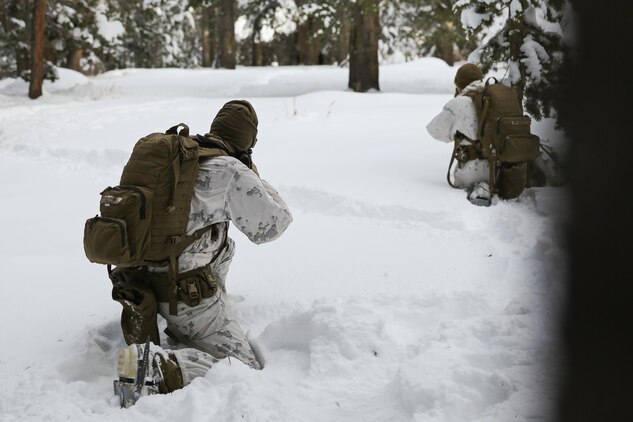 Marines with Easy Company, 2nd Battalion, 2nd Marine Regiment, 2nd Marine Division lay down a base of fire for other Marines to maneuver during an assault on an enemy position during the final six-day field exercise for Mountain Exercise winter training package at MCMWTC Bridgeport, Calif., Feb. 4, 2014. The Warlords and its attached units underwent the winter training package at MCMWTC to prepare for the upcoming a multi-lateral joint and combined exercise Cold Response, which will take place in March of 2014 in Norway.