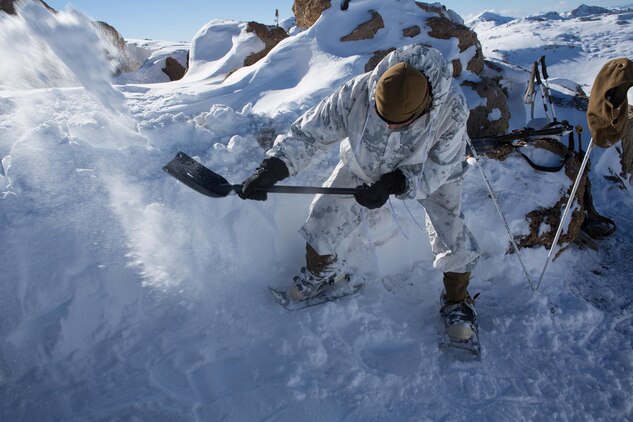 A Marine from Golf Company, 2nd Battalion, 2nd Marine Regiment, 2nd Marine Division digs in the location of his shelter at the top of a mountain during the final six-day field exercise for Mountain Exercise winter training package at MCMWTC Bridgeport, Calif., Feb. 2, 2014. The Warlords and its attached units underwent the winter training package at MCMWTC to prepare for the upcoming a multi-lateral joint and combined exercise Cold Response, which will take place in March of 2014 in Norway.