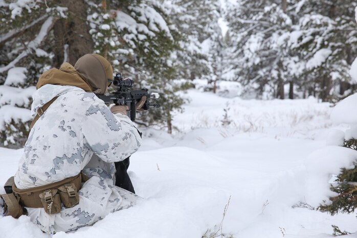 A Marine with Easy Company, 2nd Battalion, 2nd Marine Regiment, 2nd Marine Division provides over watch observes a potential threat during the final six-day field exercise for Mountain Exercise winter training package at MCMWTC Bridgeport, Calif., Feb. 2, 2014. The Warlords and its attached units underwent the winter training package at MCMWTC to prepare for the upcoming a multi-lateral joint and combined exercise Cold Response, which will take place in March of 2014 in Norway.