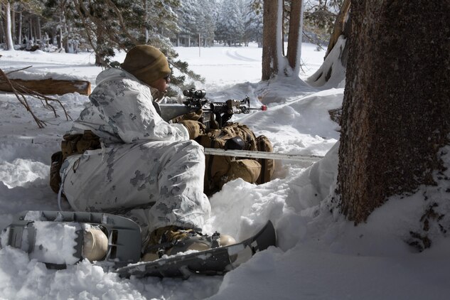 A Marine from Golf Company, 2nd Battalion, 2nd Marine Regiment, 2nd Marine Division provides over watch against a potential threat during the final six-day field exercise for Mountain Exercise winter training package at MCMWTC Bridgeport, Calif., Jan. 31, 2014. The Warlords and its attached units underwent the winter training package at MCMWTC to prepare for the upcoming a multi-lateral joint and combined exercise Cold Response, which will take place in March of 2014 in Norway.
