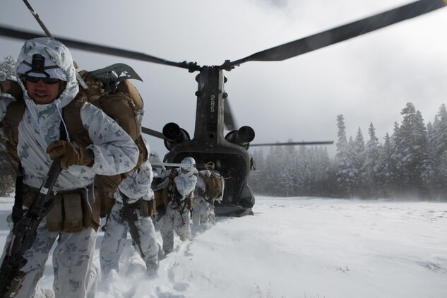 Marines from Golf Company, 2nd Battalion, 2nd Marine Regiment, 2nd Marine Division assault a high elevation landing zone from a CH-47 helicopter, for the final six-day field exercise for Mountain Exercise winter training package at MCMWTC Bridgeport, Calif., Jan. 31, 2014. The Warlords and its attached units underwent the winter training package at MCMWTC to prepare for the upcoming a multi-lateral joint and combined exercise Cold Response, which will take place in March of 2014 in Norway.