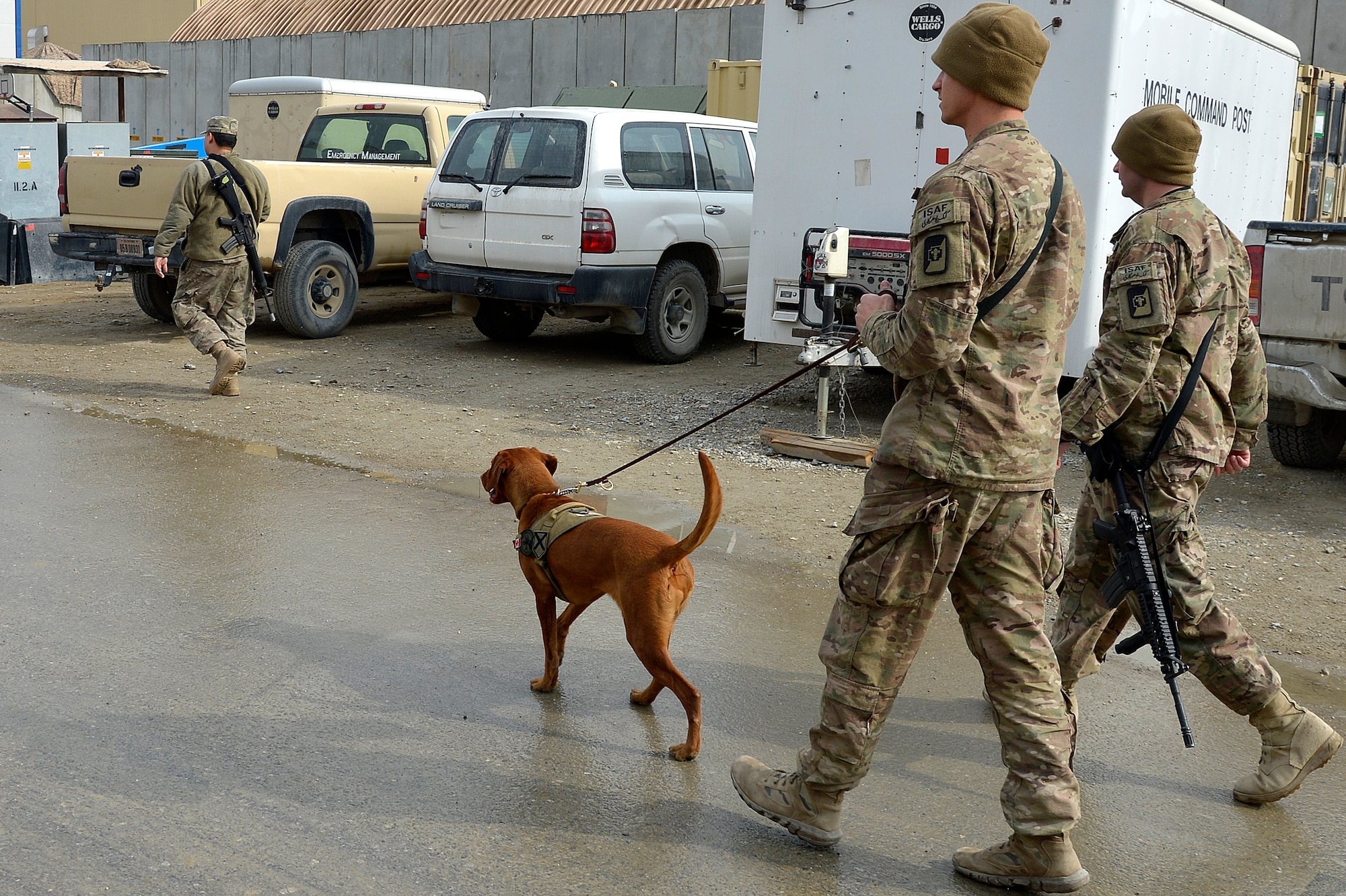 U.S. Army Pfc. Alex Fanning, 98th Medical Detachment Combat Stress Control behavioral health specialist, walks with Maj. Eden, 98th Medical Detachment CSC combat stress dog at Bagram Airfield, Afghanistan, Jan. 21, 2014. Fanning and Eden travel around Bagram and other Forward Operating Base’s telling deployed Service members who they are, what the 98th Medical Detachment CSC does and what they can do for them. (U.S. Air Force photo by Senior Airman Kayla Newman/Released)