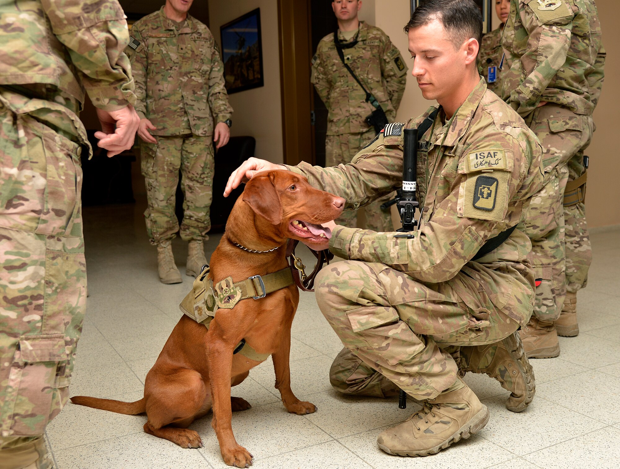 U.S. Army Pfc. Alex Fanning, 98th Medical Detachment Combat Stress Control behavioral health specialist, and Maj. Eden, 98th Medical Detachment CSC combat stress dog, visit Service members at Bagram Airfield, Afghanistan, Jan. 21, 2014. Fanning and Eden travel around Bagram and other Forward Operating Base’s telling deployed Service members who they are, what the 98th Medical Detachment CSC does and what they can do for them. (U.S. Air Force photo by Senior Airman Kayla Newman/Released)