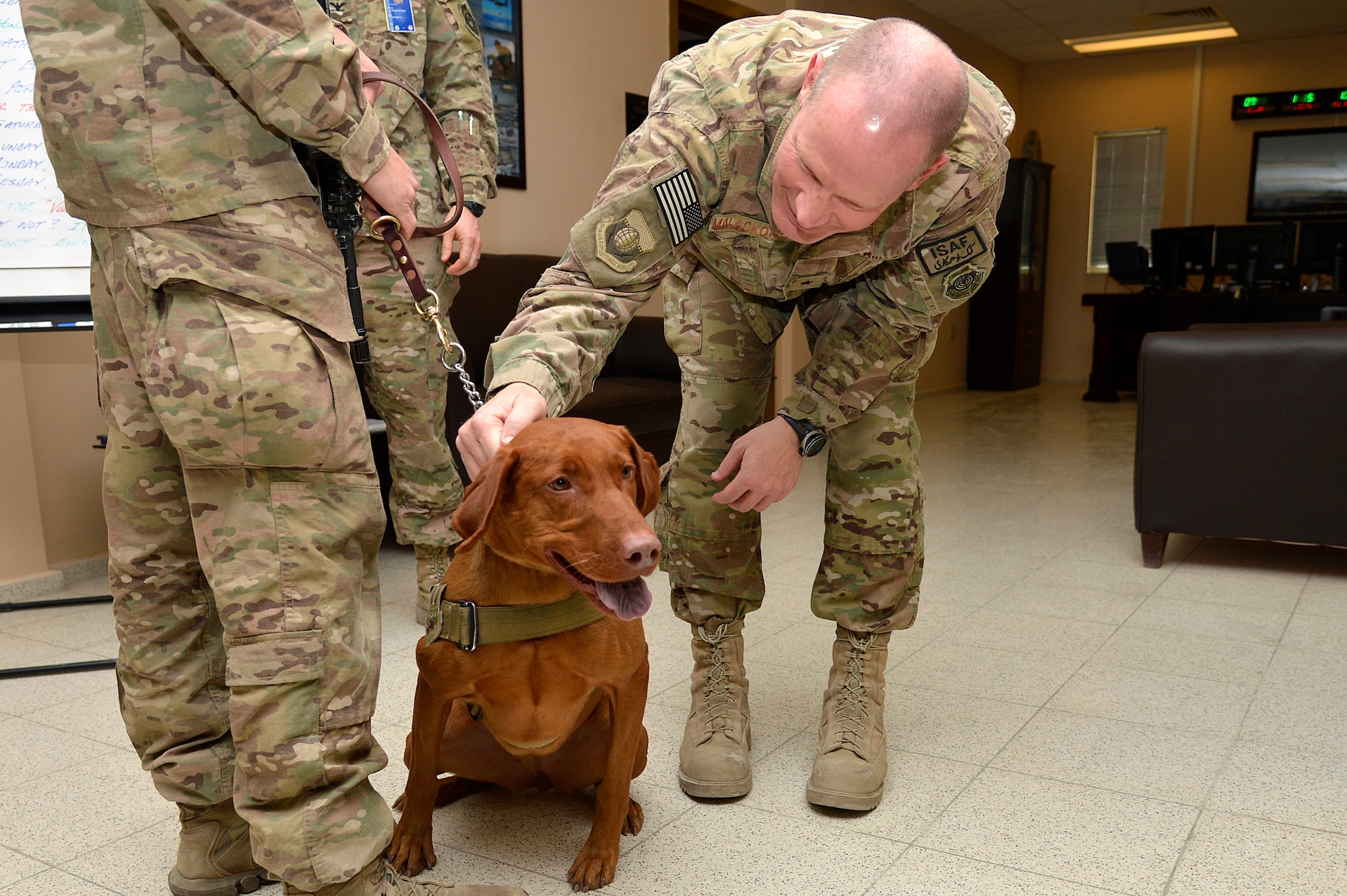 U.S. Air Force Brig. Gen. Patrick Malackowski, 455th Air Expeditionary Wing commander, pets the 98th Medical Detachment Combat Stress Control combat stress dog, Maj. Eden, at Bagram Airfield, Afghanistan, Jan. 21, 2014. Maj. Eden and her handler, U.S. Army Pfc. Alex Fanning, 98th Medical Detachment CSC behavioral health specialist, visit different units and Forward Operating Bases in Afghanistan to not only build morale, but to help Service members through their combat stress.  (U.S. Air Force photo by Senior Airman Kayla Newman/Released)