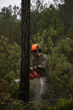 Pfc. Michael Taylor, a combat engineer with Combat Logistics Battalion 2, Combat Logistics Regiment 2, 2nd Marine Logistics Group cuts a tree down aboard Camp Davis, N.C., Feb. 5, 2014. Engineers with the battalion are slated to clear approximately 160 acres of wooded airfield to make it easier for incoming airborne personnel and equipment to land.  (U.S. Marine Corps photo by Lance Cpl. Shawn Valosin)