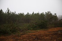 Fallen trees can be seen throughout the northern air field of Camp Davis, N.C., Feb. 5, 2014. Engineers with Combat Logistics Battalion 2, Combat Logistics Regiment 2, 2nd Marine Logistics Group have been clearing more than 100 acres of wooded airfield since late January. This exercise provided the Marines realistic training, which increased the readiness of the company for real world contingency operations. (U.S. Marine Corps photo by Lance Cpl. Shawn Valosin)