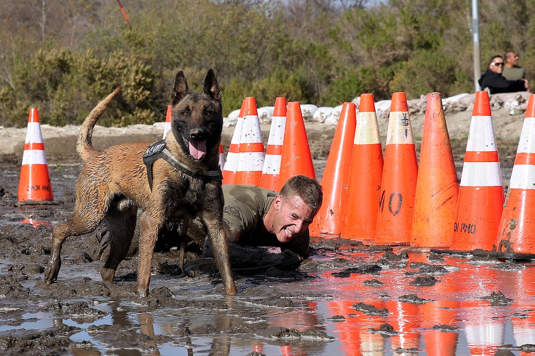 Military Working Dog Dixie and his handler, Cpl. Tyler Barnhart, crawl through a mud pit in the Endurance Challenge during the Iron Dog Competition portion of War Dawg Weekend, Feb. 9. The annual event is put on by The Dawgs Project and hosted by Marine Corps Base Camp Pendleton.
