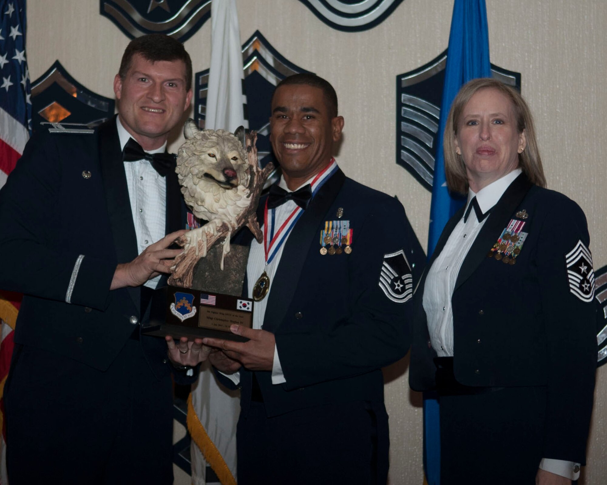 2013 Annual Award Winner for Senior Noncommissioned Officer of the Year Master Sgt. Christopher Hughes, 8th Medical Group.