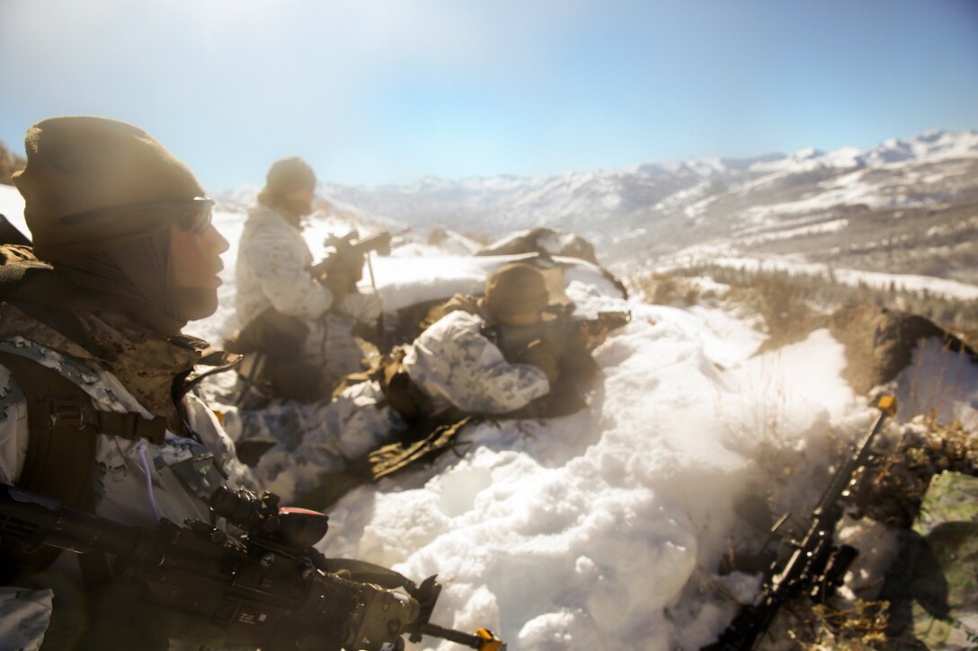 Navy Petty Officer 3rd Class Michael Fallone, foreground, provides over watch with Marines during an assault on an enemy position during the final six days of Mountain Exercise at Bridgeport, Calif., Feb, 1, 2014. Fallone is a hospital corpsman assigned to the 2nd Marine Division's Easy Company, 2nd Battalion, 2nd Marine Regiment.