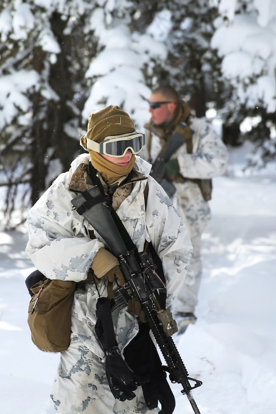 Marine Corps Pfc. Michael Humer, foreground, and Marine Corps Lance Cpl ...